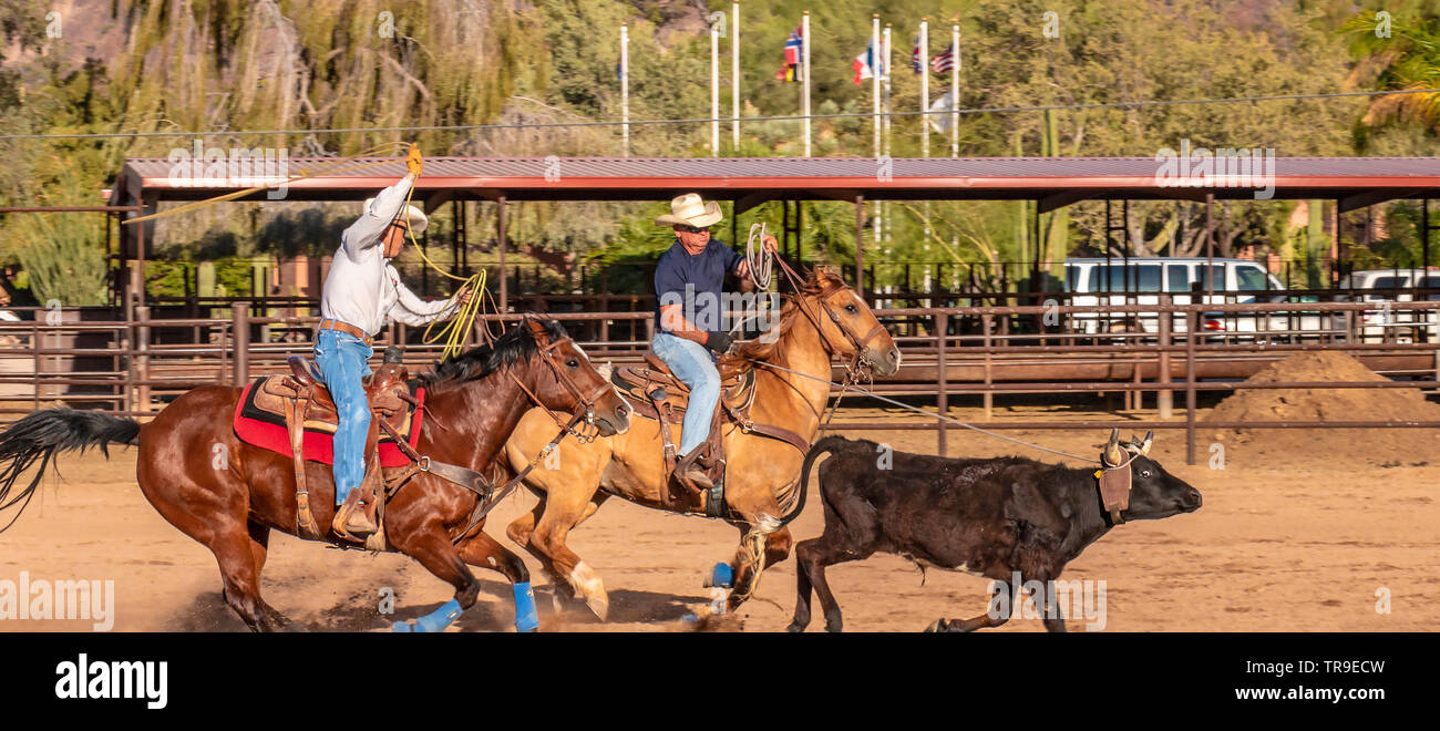 Rodeo settimanale a White Stallion Ranch, un dude ranch al di fuori di Tucson, AZ. Qui i piloti prendere parte nel team penning, talvolta grezzi evento temporizzato dove un t Foto Stock