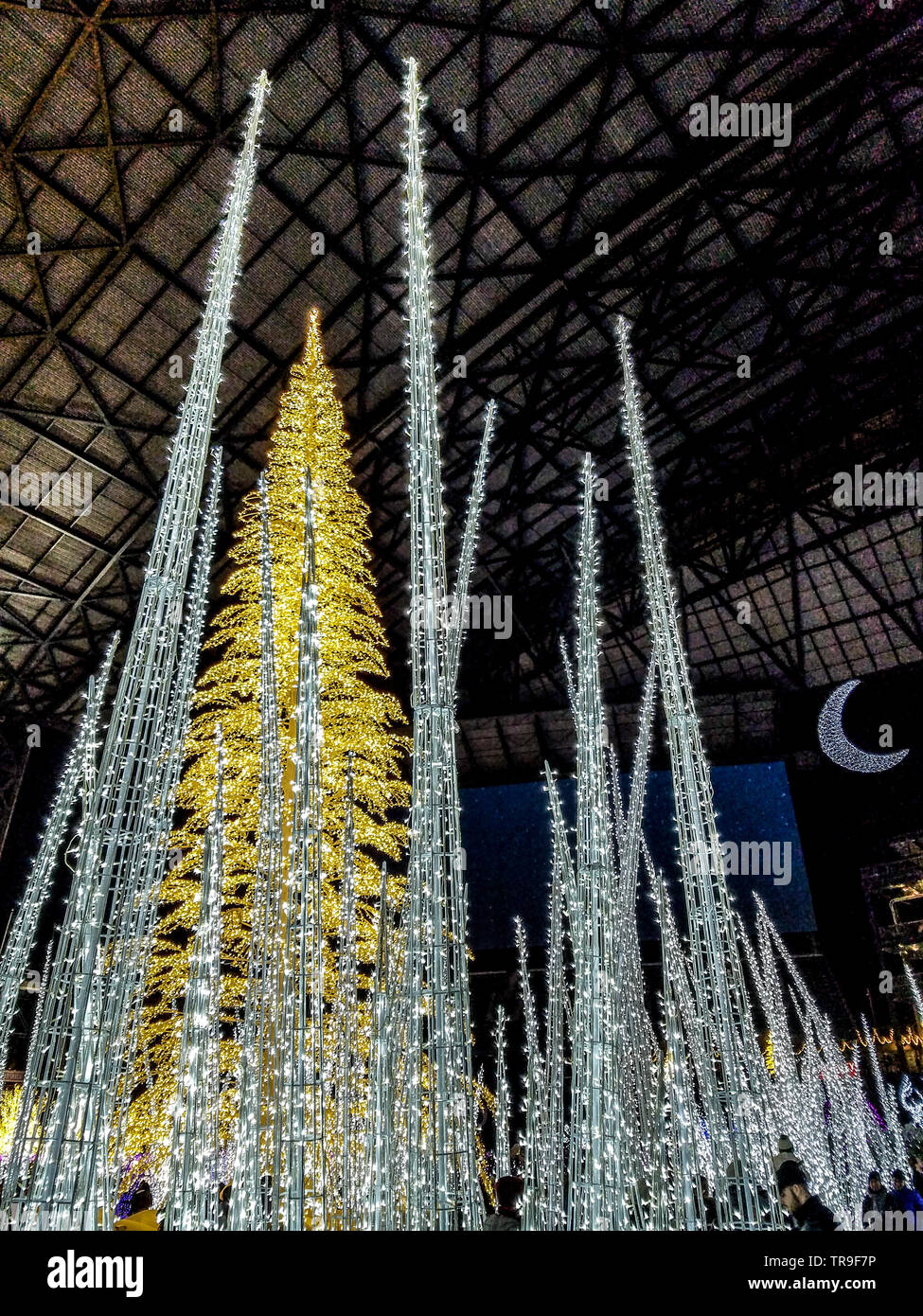 Incantare il Natale in Seattle con la più lunga del mondo la luce di Natale labirinto. E tutti i tipi di schermi di luce da un gigantesco anello di fidanzamento a cuori, ic Foto Stock