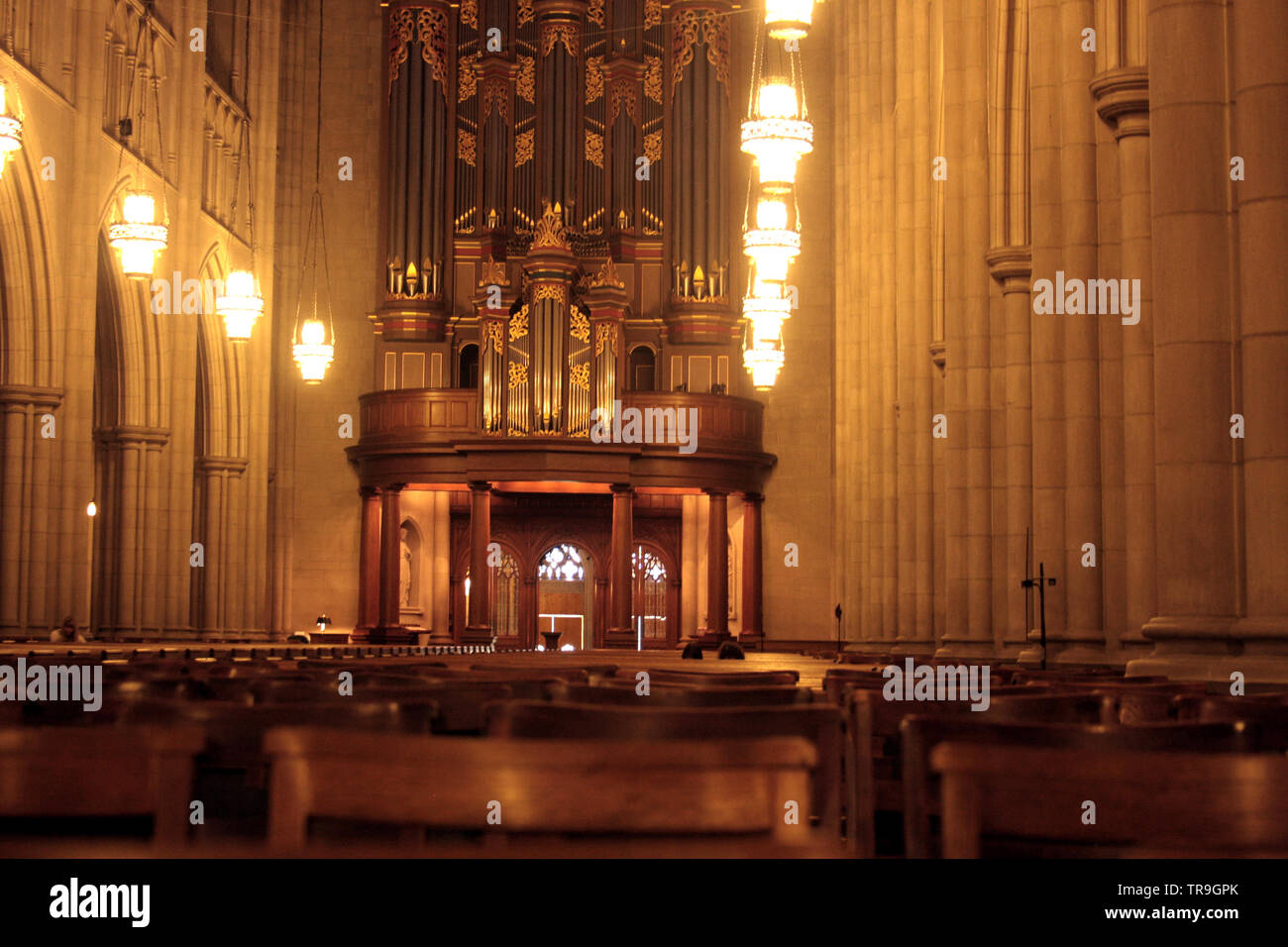 Interno della Cappella Ducale, con la grand organi a canne nel retro. Durham, NC, Stati Uniti d'America. Foto Stock