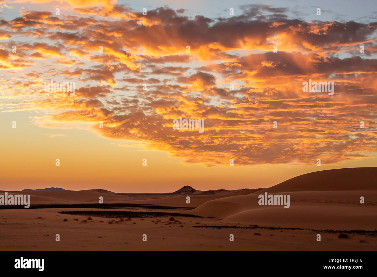 Un bellissimo tramonto Africano nel deserto occidentale del Sudan con le nuvole colorate e del cielo e il piatto paesaggio del deserto Foto Stock