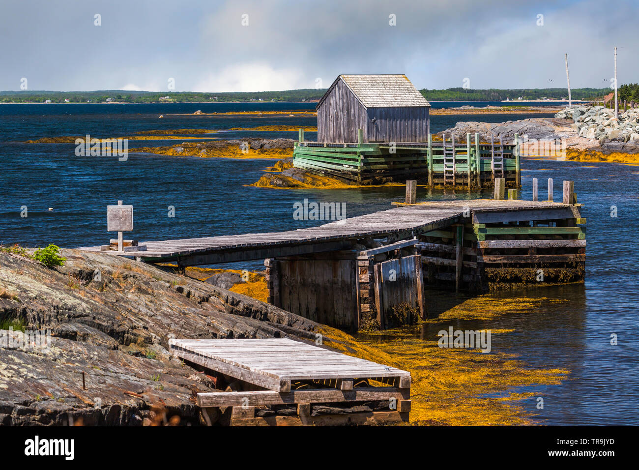 Pontile a rocce di colore blu, Nova Scotia, Canada Foto Stock