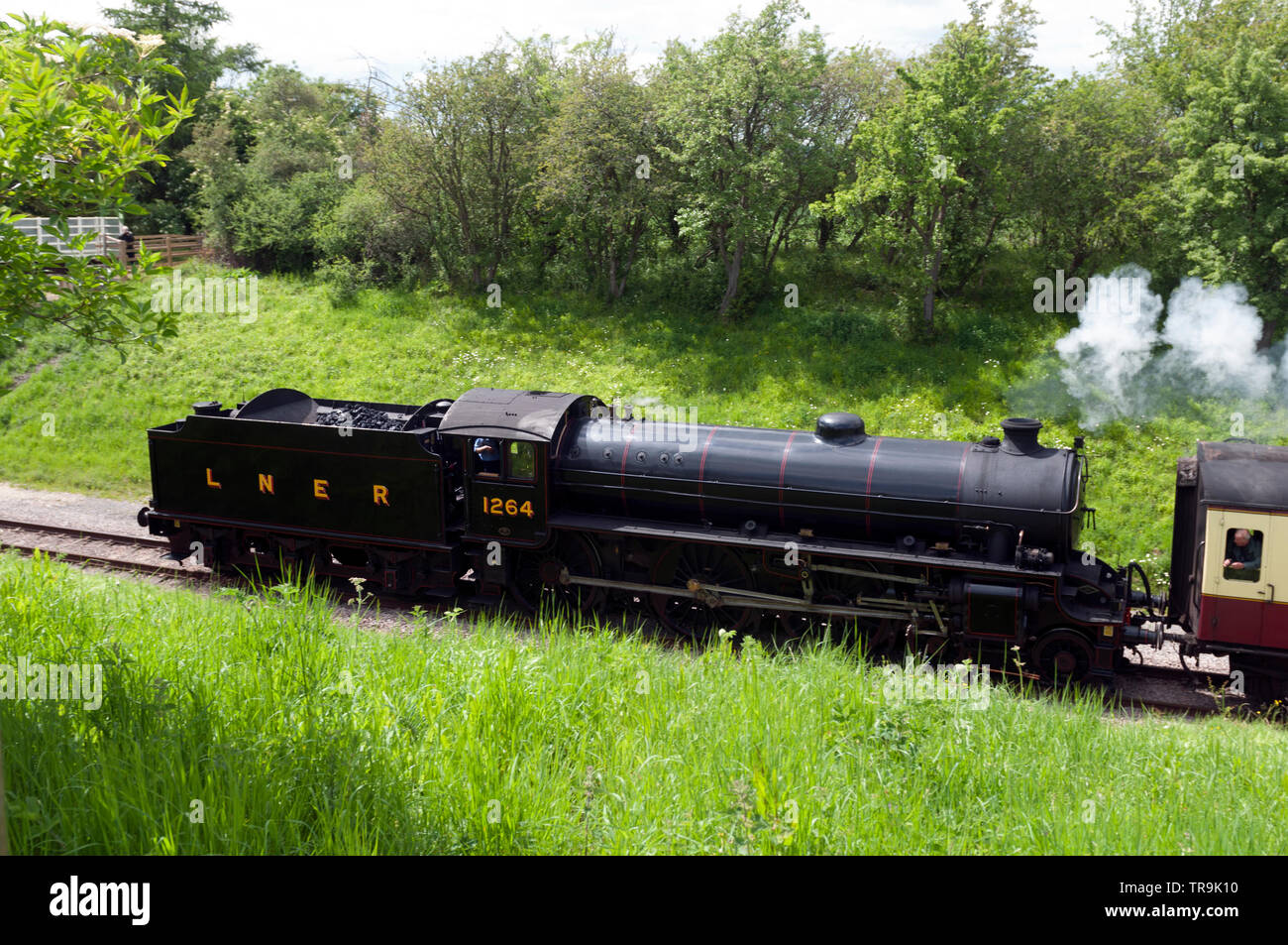 LNER B1 classe n. 1264 sulla Gloucestershire Warwickshire Railway, Gloucestershire, Regno Unito Foto Stock