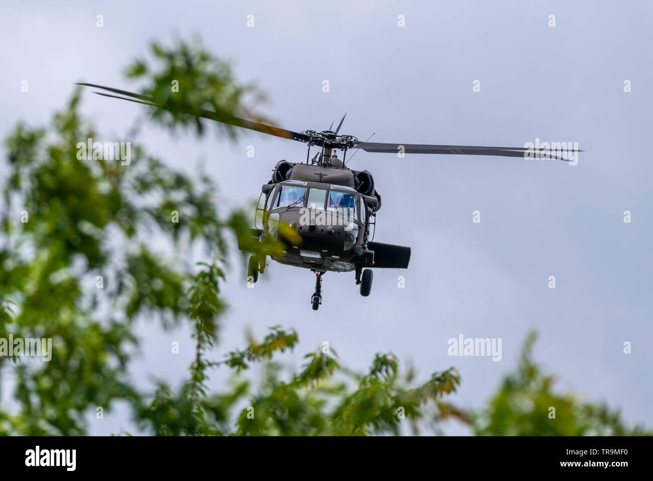 Sikorsky UH-60 Black Hawk elicottero trasporto battenti come parte del supporto per il presidente statunitense Donald Trump Visita di Stato nel Regno Unito. In basso dietro tree Foto Stock