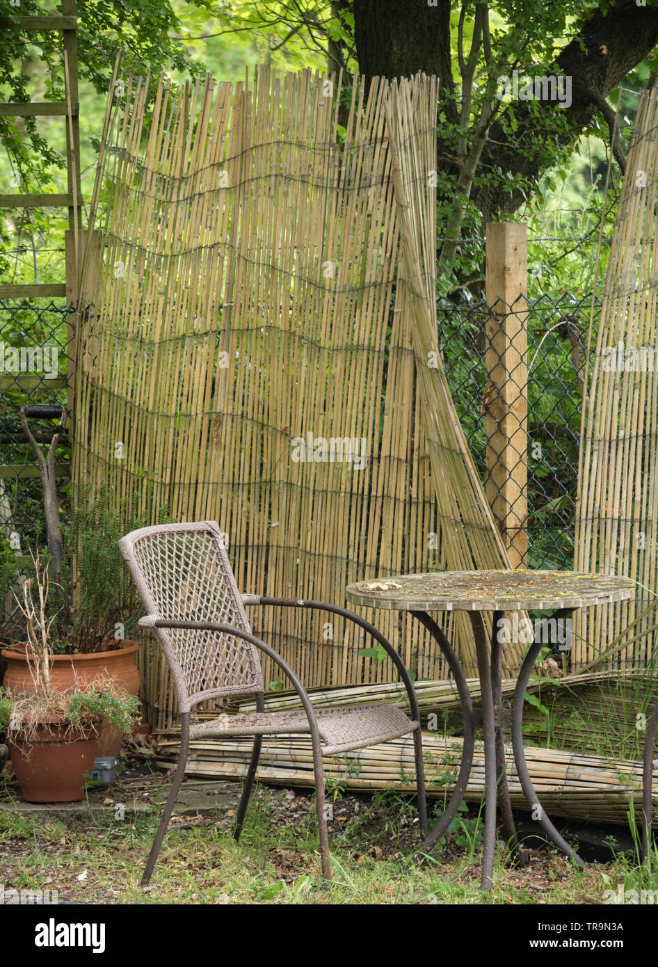 Scruffy mobili da giardino, England, Regno Unito Foto Stock