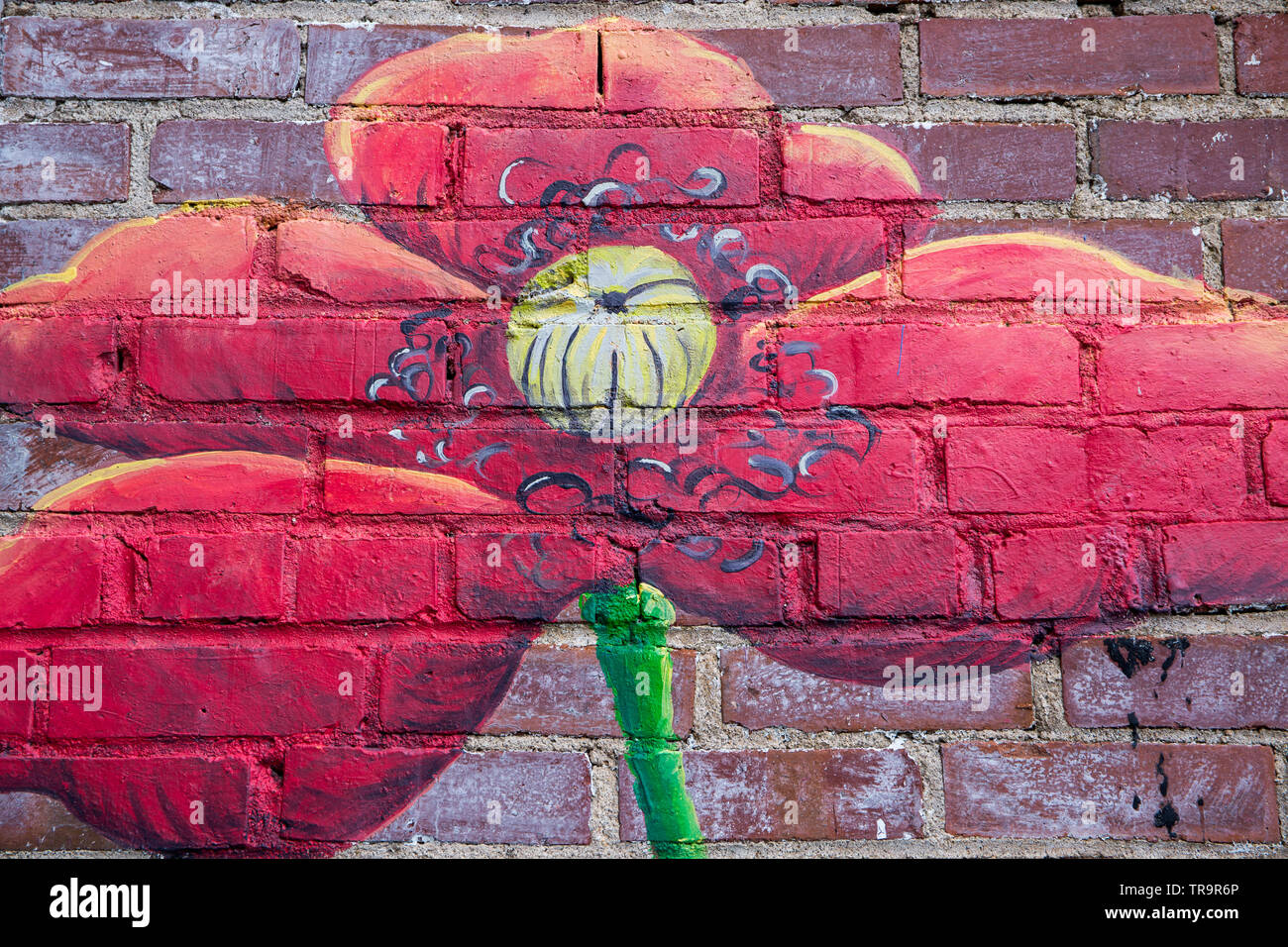 BREVARD, NC (USA) - 25 Maggio 2019: una parete murale di fiori sul display nel centro cittadino di Brevard, una destinazione popolare per i turisti in North Carolina. Foto Stock