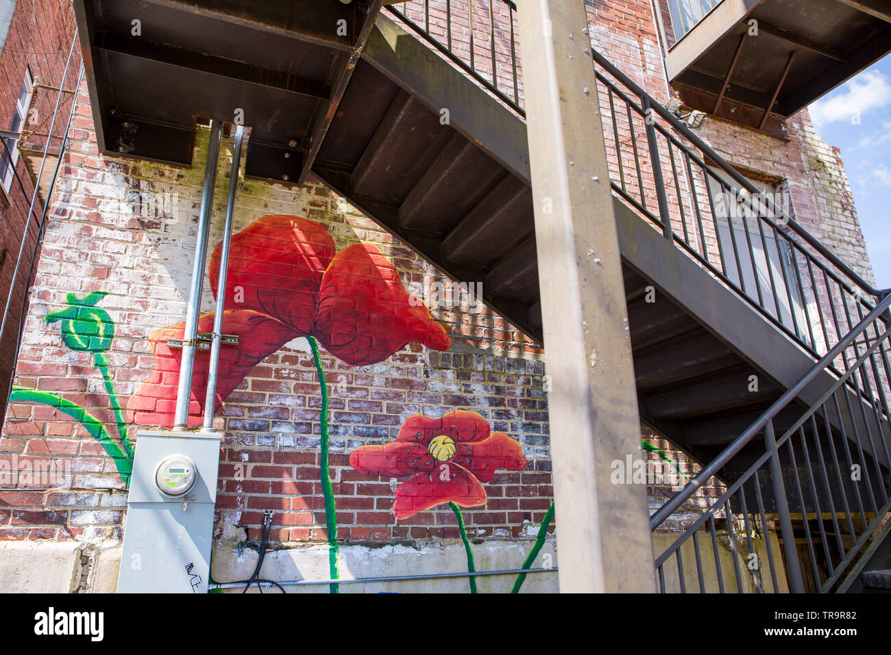 BREVARD, NC (USA) - 25 Maggio 2019: una parete murale di fiori sul display nel centro cittadino di Brevard, una destinazione popolare per i turisti in North Carolina. Foto Stock