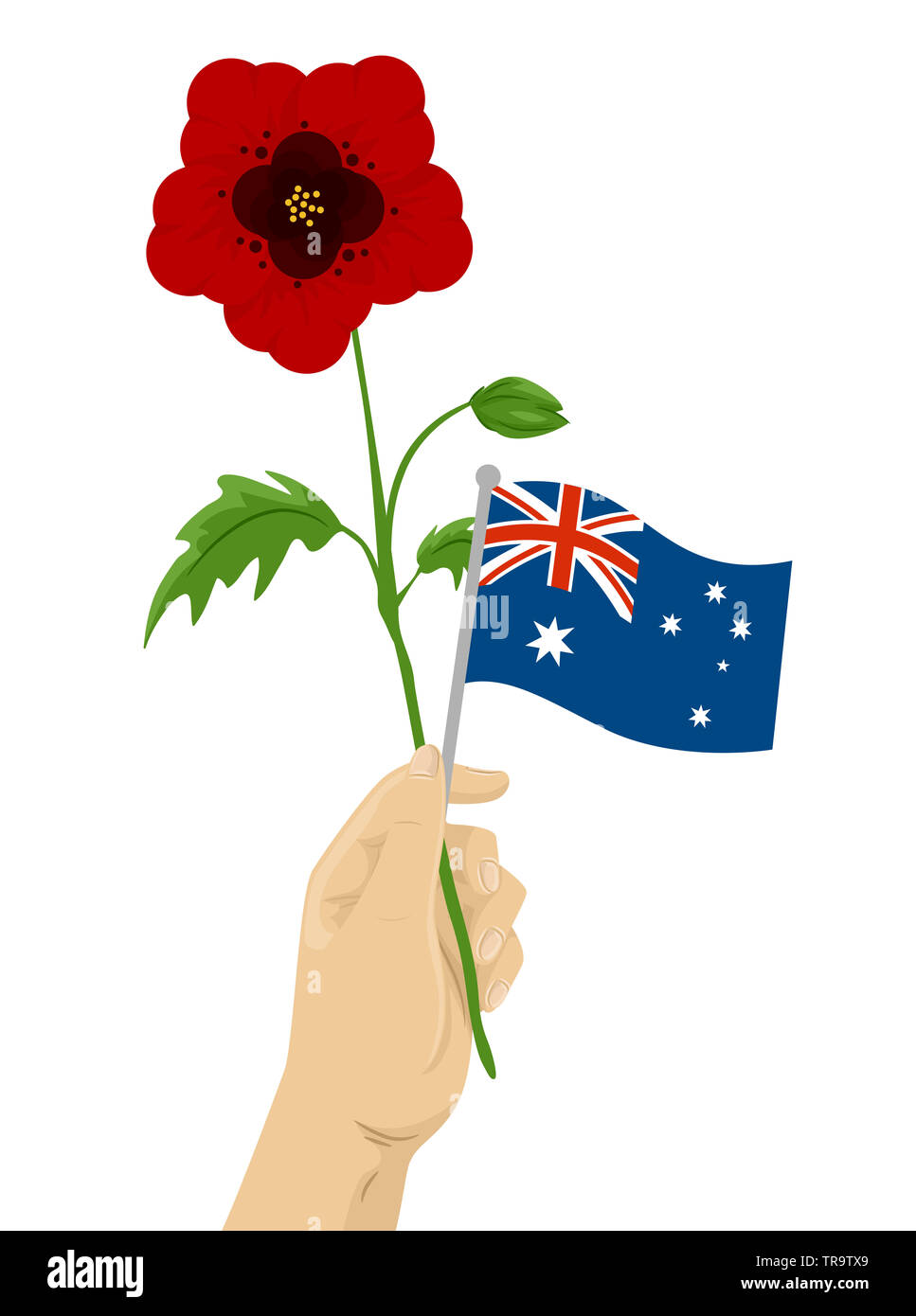 Immagine di una mano che regge un fiore di papavero e una bandiera di Australia Foto Stock