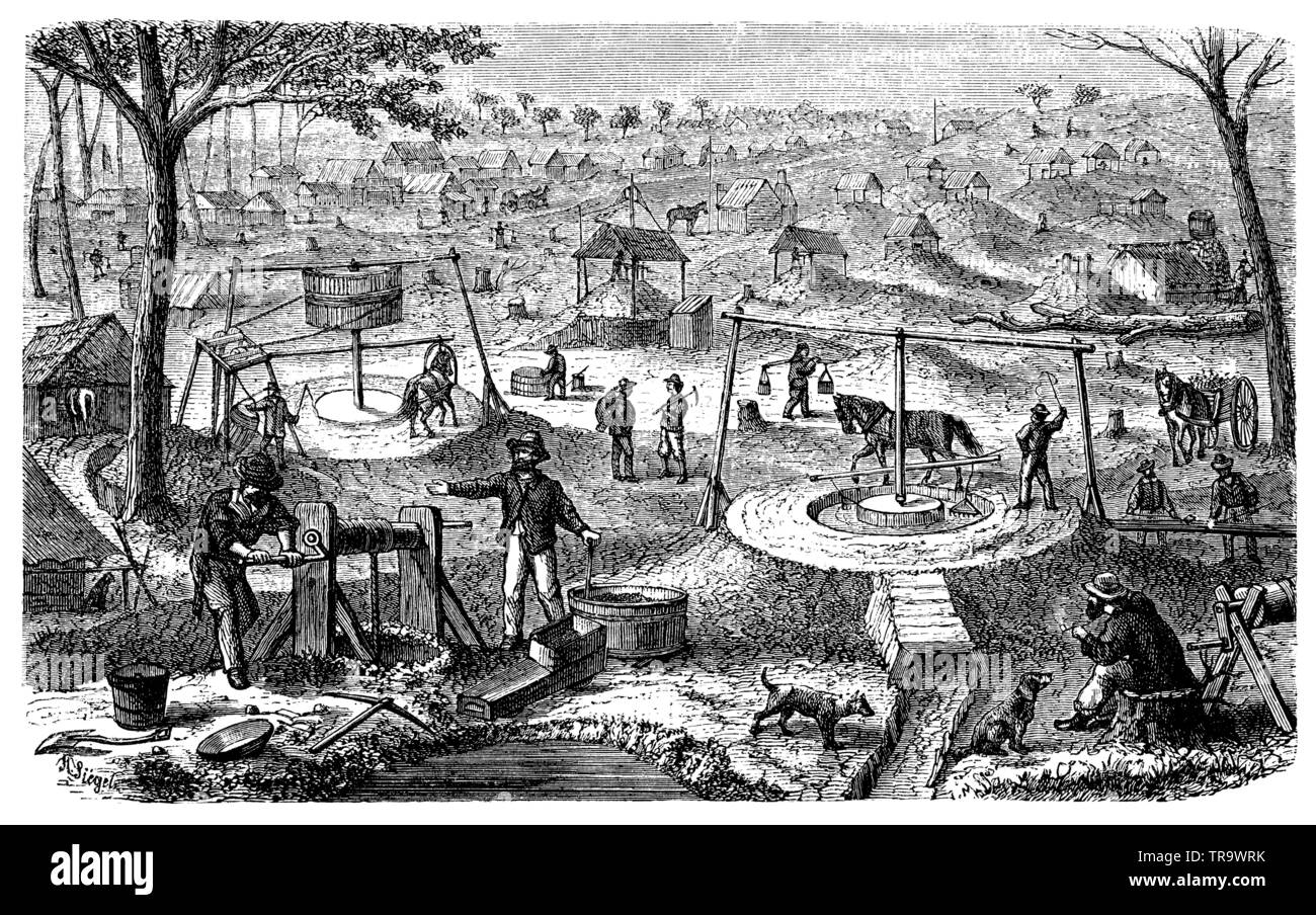 Miniere d'Oro in Australia. Disegnato dalla natura da H. Siegel., , H. Siegel (Enciclopedia, 1893) Foto Stock