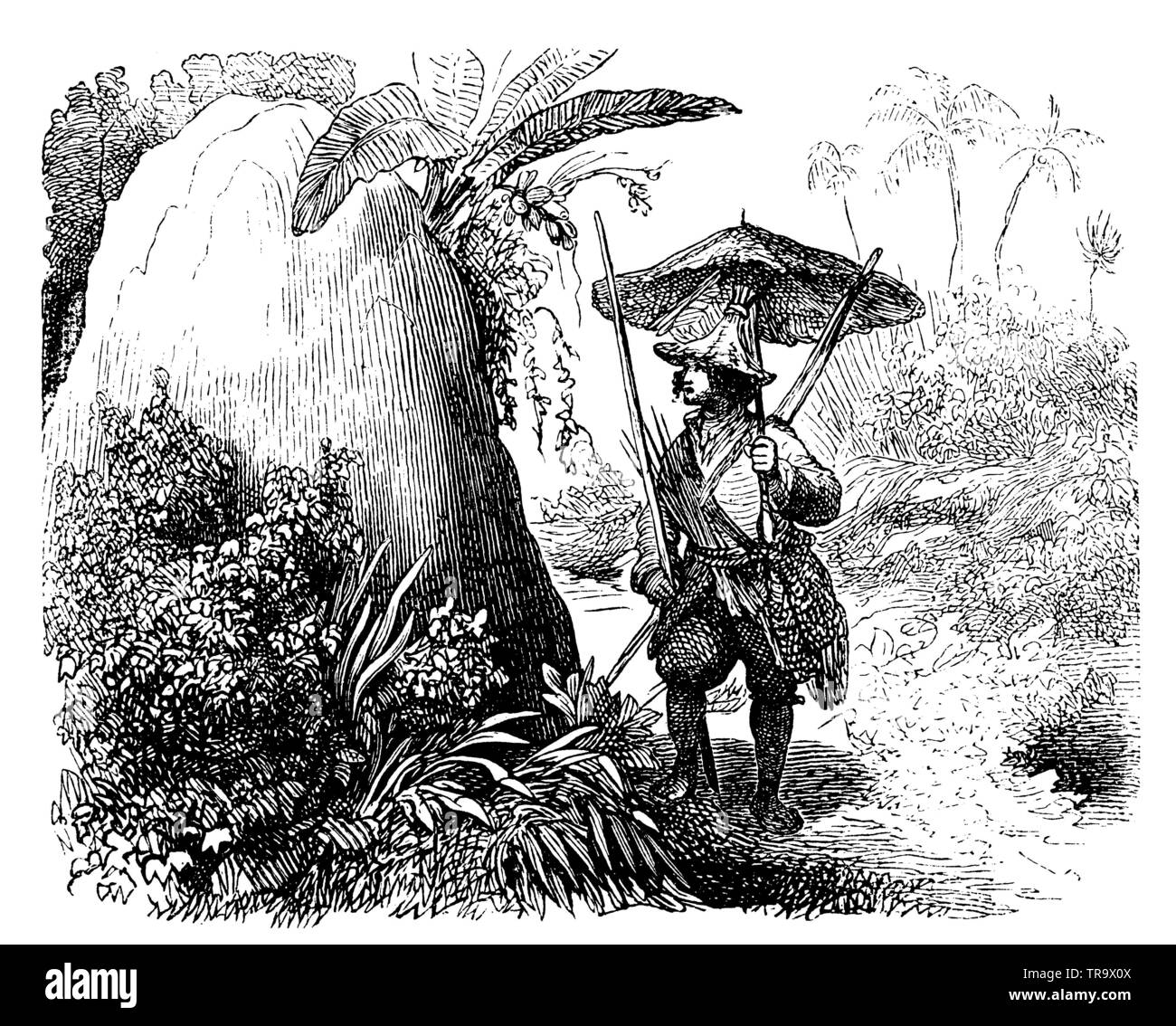 Robinson Crusoe trova un termite hill invece della tenda, , (romanzo, 1897) Foto Stock