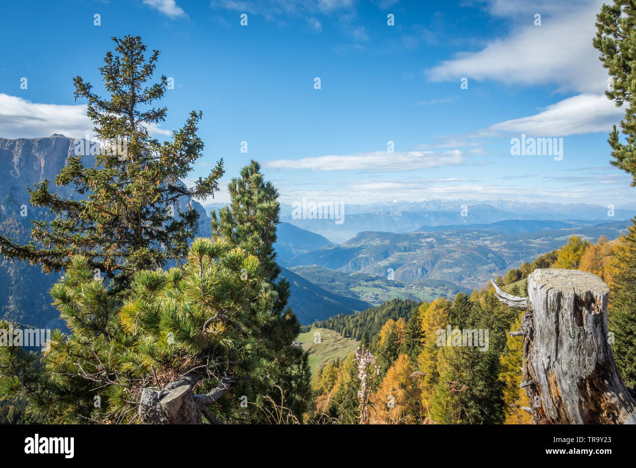 Una splendida vista in elevazione da una foresta in alto sulla cima delle Dolomiti nel Nord Italia in una limpida giornata di sole con il cielo blu e una visibilità eccellente. Foto Stock