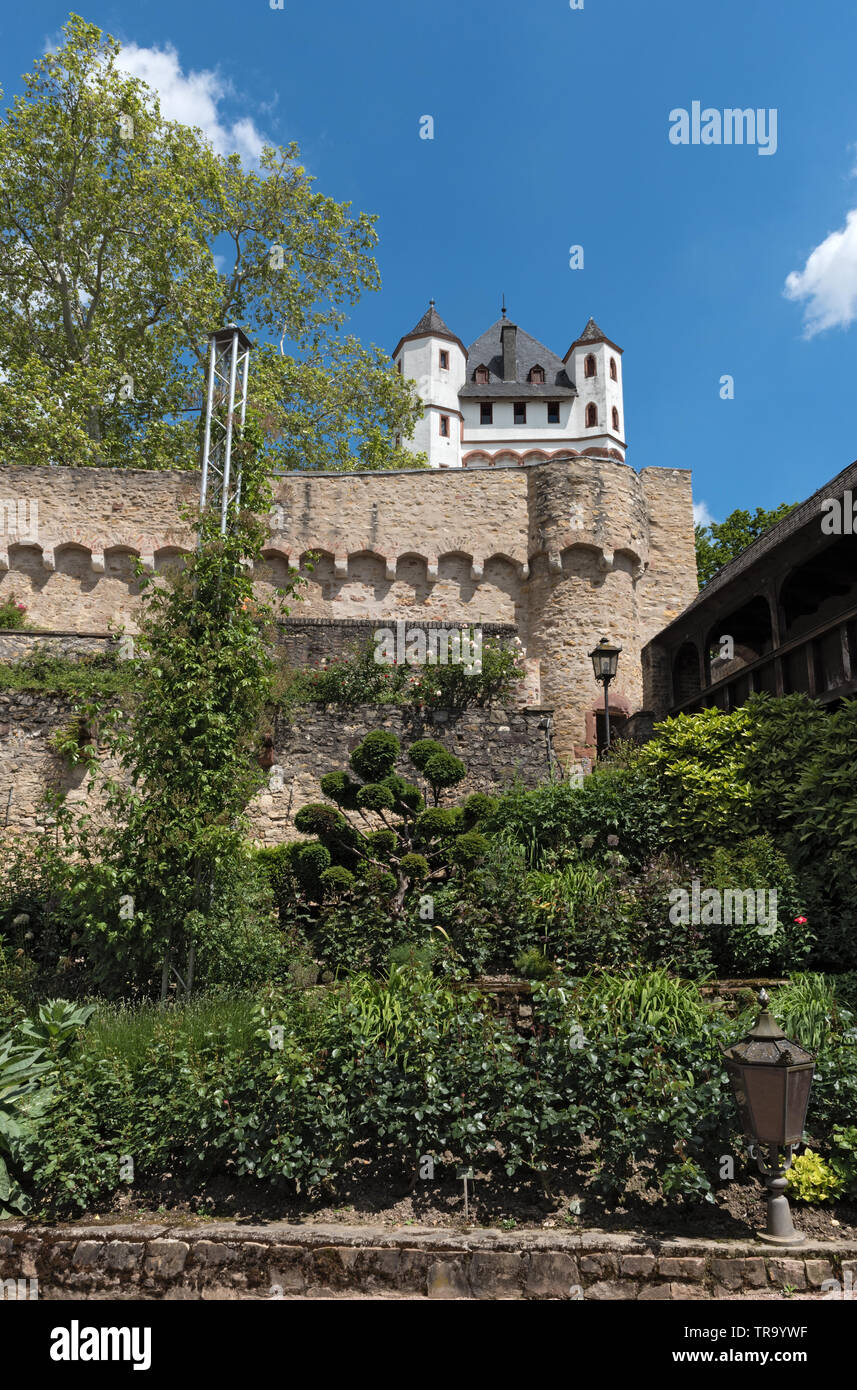 La torre del castello elettorale in Eltville sul Reno in Germania Foto Stock