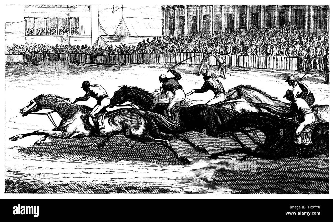 Gara in inglese, cavallo di razza, , (storia culturale libro, 1875) Foto Stock