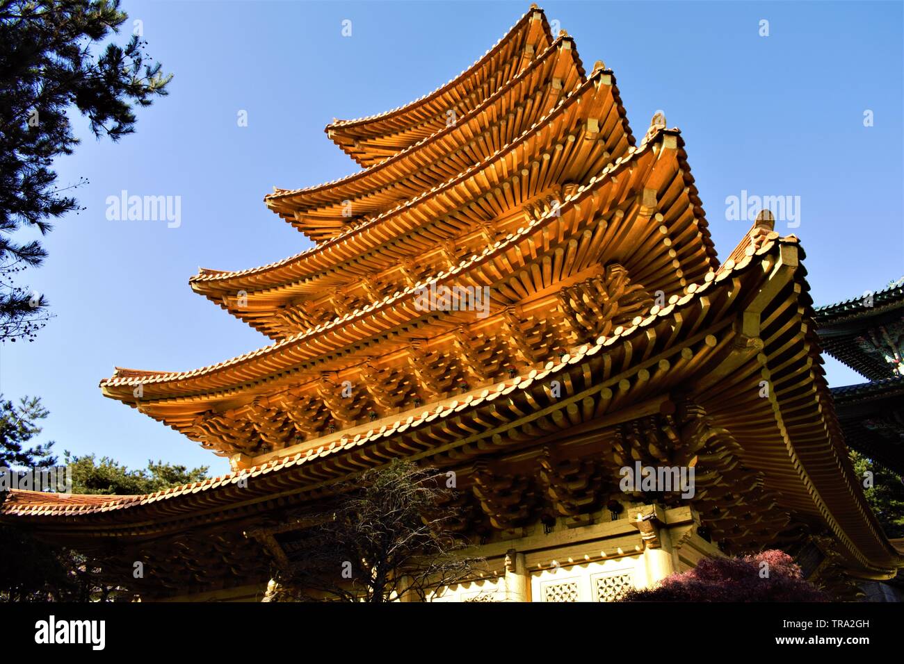 Pagoda d'oro del movimento religioso Jeung San do a Cheongju, Corea Foto Stock