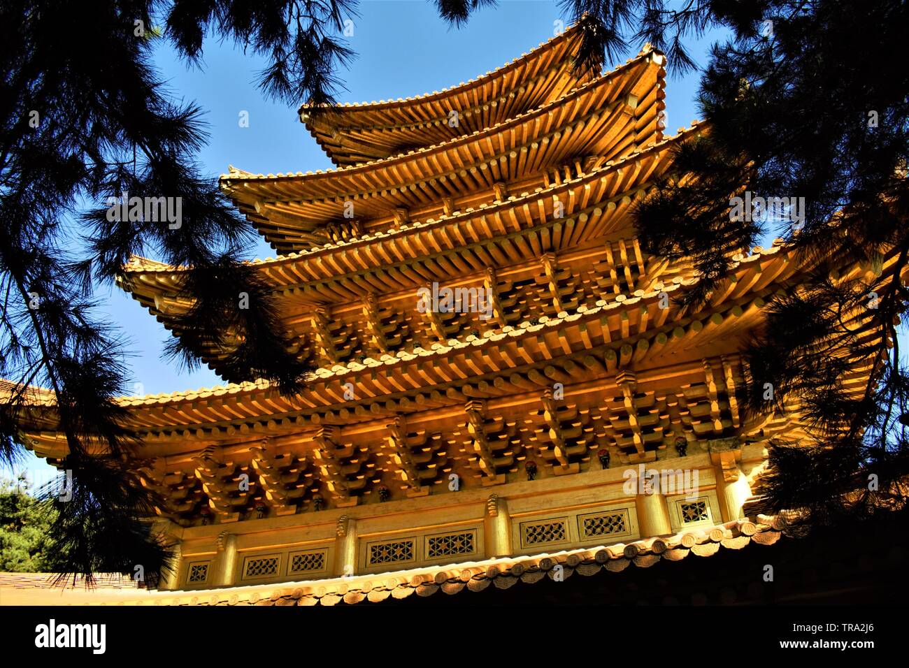 Pagoda d'oro del movimento religioso Jeung San do a Cheongju, Corea Foto Stock