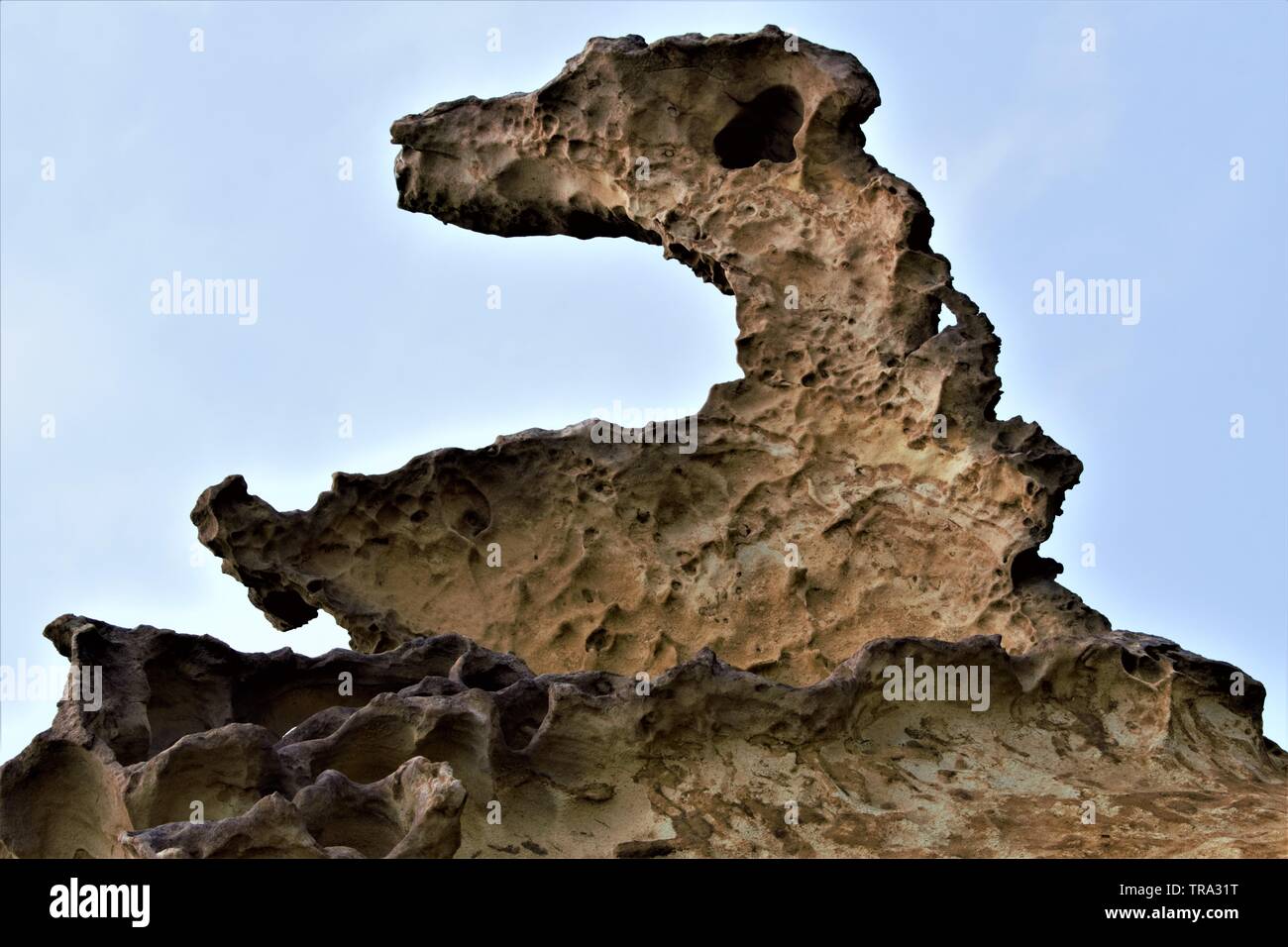 Formazione rocciosa a Yehliu Geopark, distretto di Wanli, New Taipei, Taiwan Foto Stock