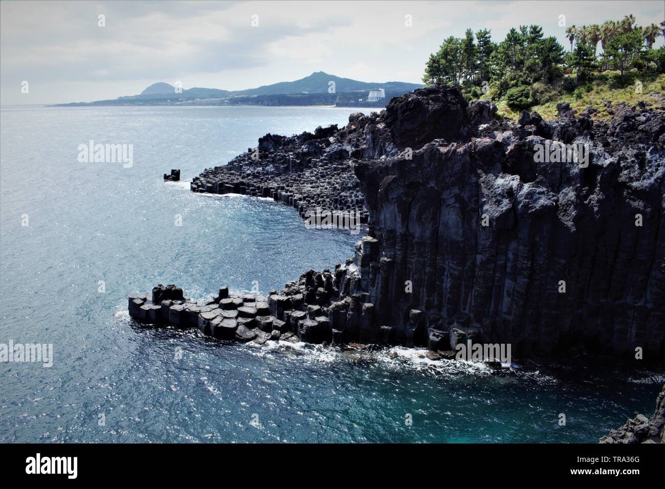 Jusangjeolli cliff di Jeju, Corea Foto Stock