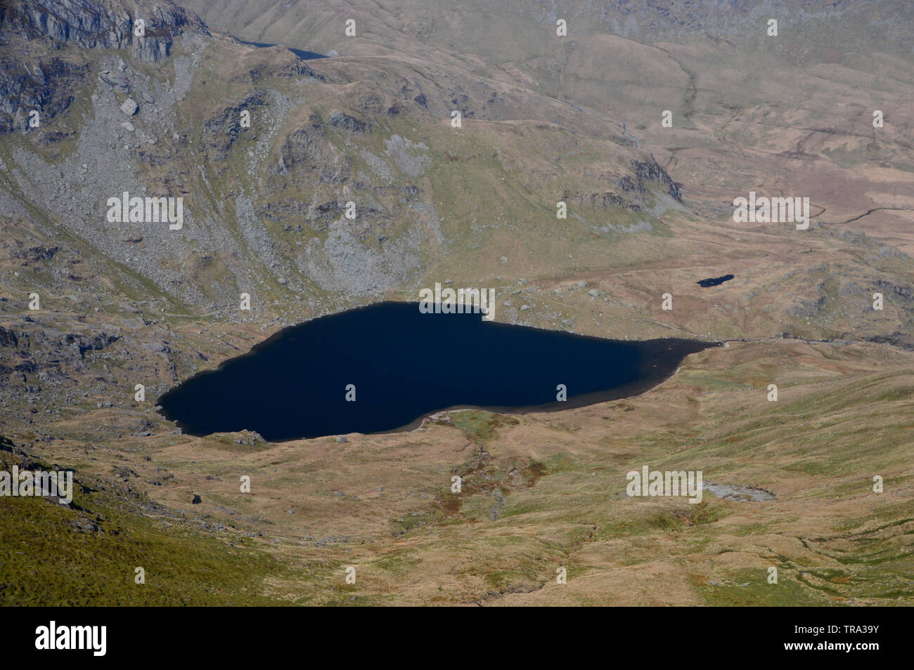 Piccolo acqua dal vicino alla vetta del Wainwright Harter è sceso nel Parco Nazionale del Distretto dei Laghi, Cumbria, Inghilterra, Regno Unito. Foto Stock