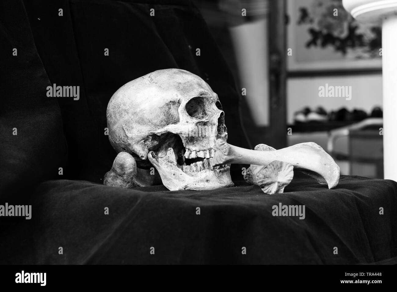 Cranio e osso immagine bianco e nero, vintage Foto Stock