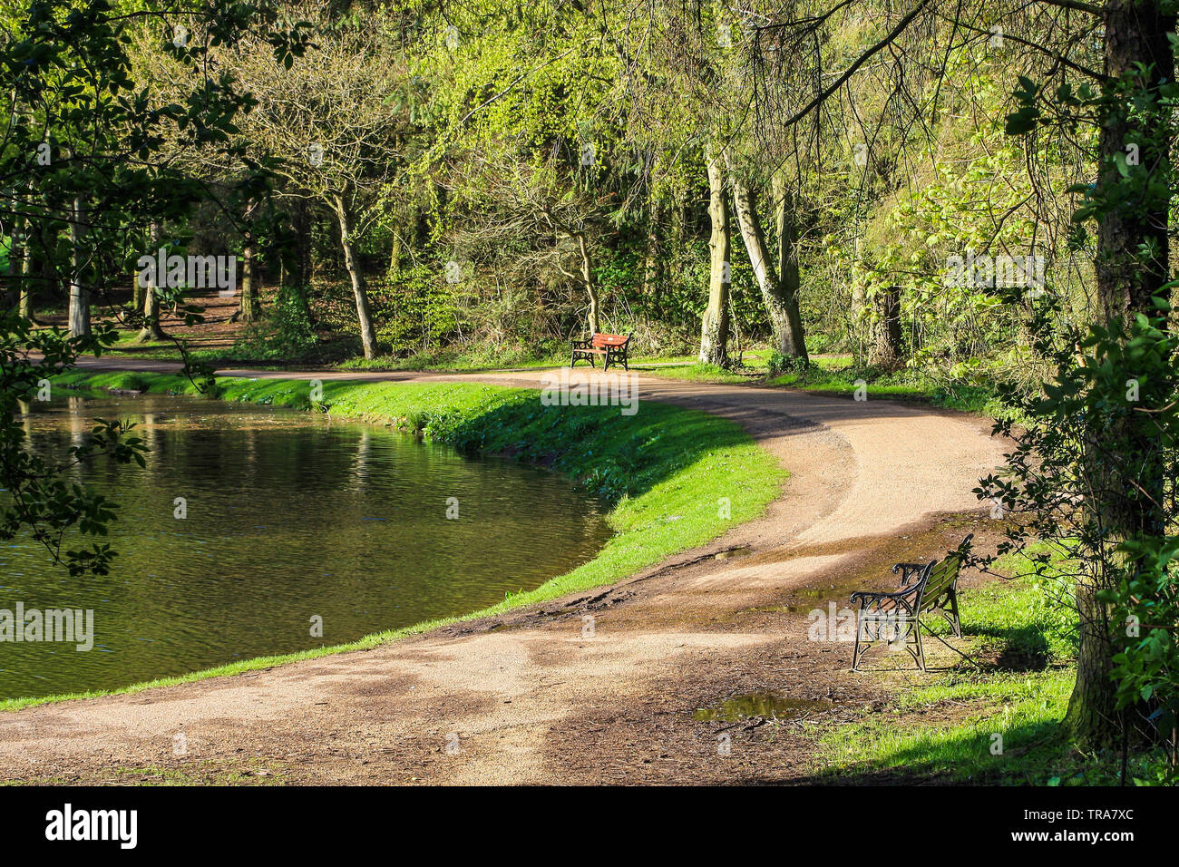 Le vedute panoramiche del lago e percorsi presso Hardwick Park,Sedgefield,Co.Durham,l'Inghilterra,UK Foto Stock