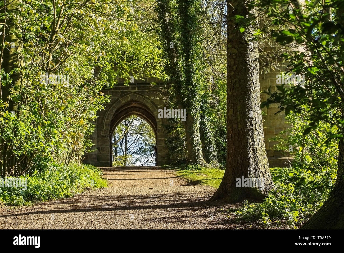 L'arcata del gotico rovine presso Hardwick Park,Sedgefield,Co.Durham,l'Inghilterra,UK Foto Stock