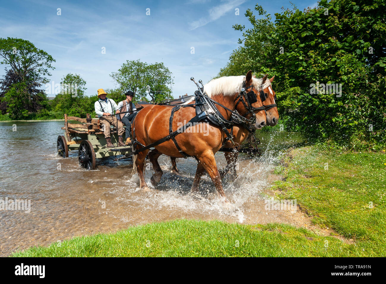 River Avon Fordingbridge, New Forest. Hampshire, Regno Unito, 1st giugno 2019. Come parte della settimana della cultura nel rimorchio, l'uomo d'affari locale Davide Shering dispiega i suoi cavalli pesanti Comtois per creare una scena simile a quella nel Hay Wain, un dipinto di John Constable nel 1821. Gli abitanti del luogo sono stati invitati a partecipare in un posto la differenza di concorrenza con l'originale. Foto Stock