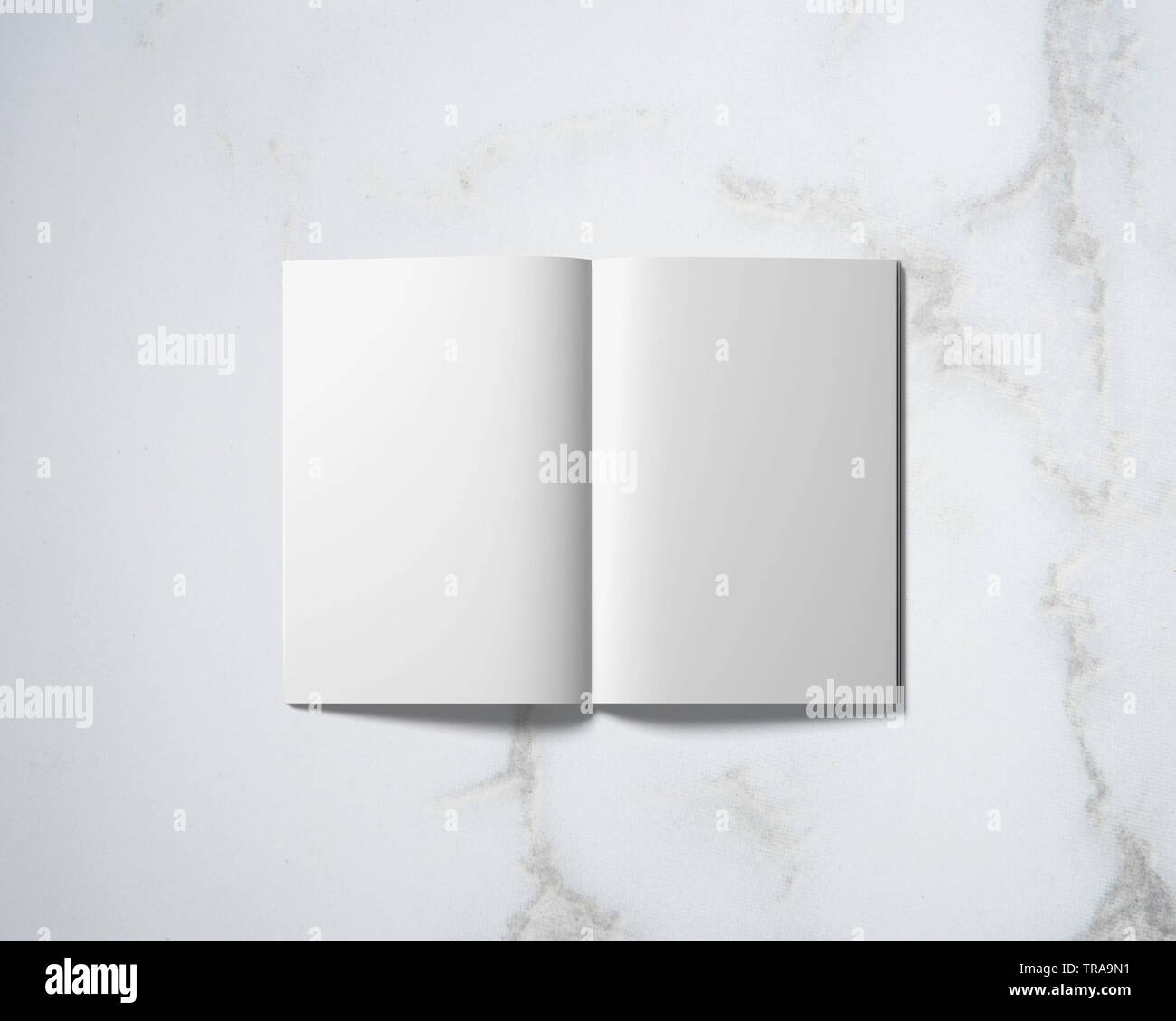 Libro aperto sulla tavola, rivista aperta sul tavolo, minimal design interno Foto Stock