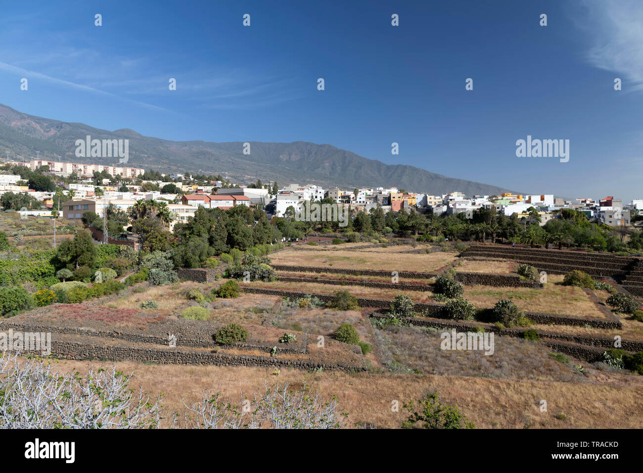 Vista dal ponte di osservazione nel parco etnografico " Piramidi di Guimar', Tenerife Foto Stock