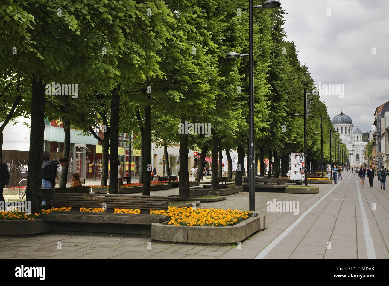 Liberty boulevard - Laisvės aleja a Kaunas. La lituania Foto Stock