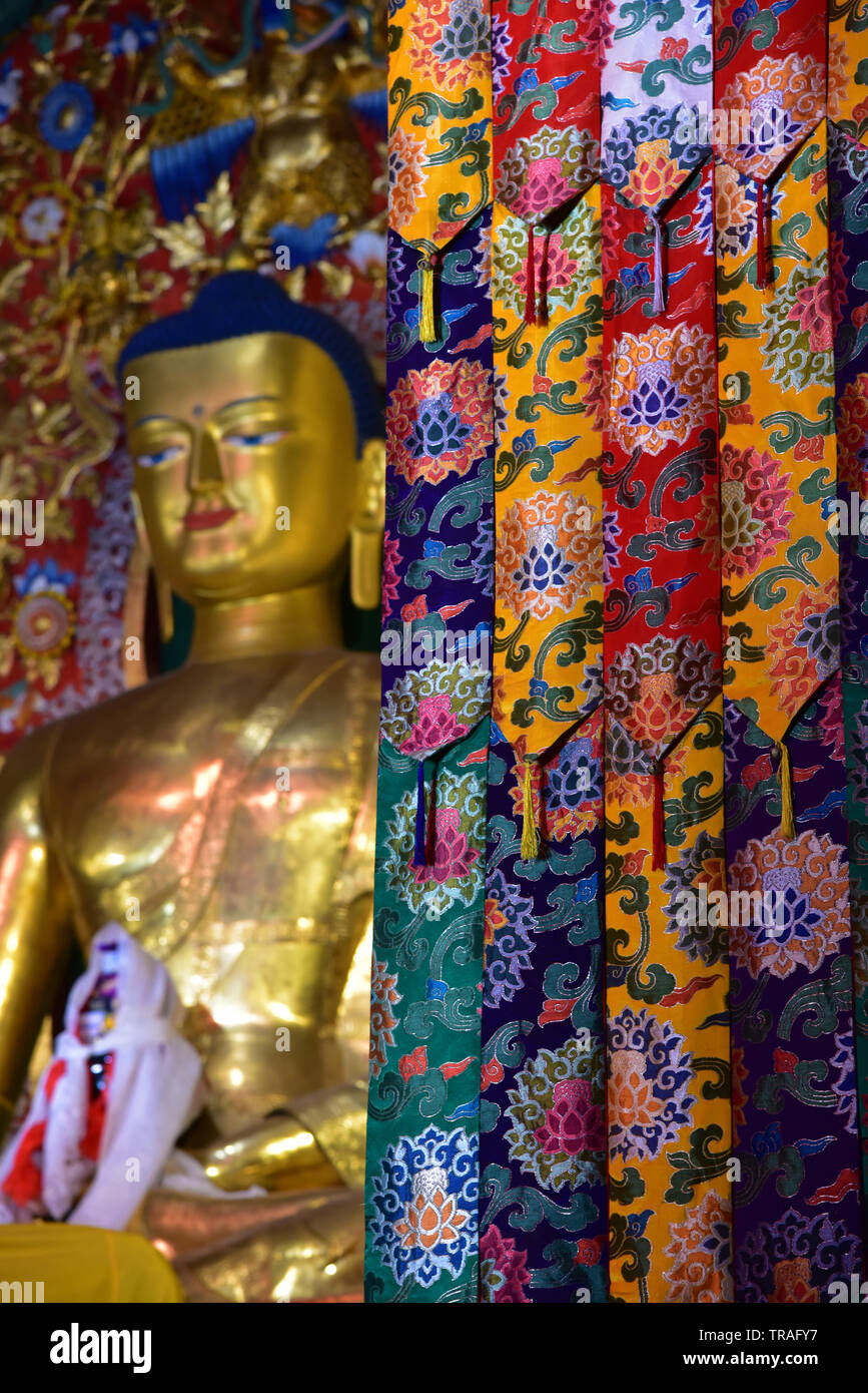 Statua dorata di Buddha Shakyamuni e tessuti tibetano adornano la Deden Tsuklagkhang tempio presso la splendida Norbulingka Istituto di Dharamsala, in India. Foto Stock Statua dorata di Buddha Shakyamuni e tessuti tibetano adornano la Deden Tsuklagkhang tempio presso la splendida Norbulingka Istituto di Dharamsala, in India. Foto Stock