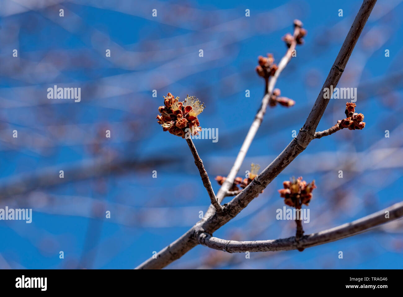 Calda giornata di primavera Foto Stock
