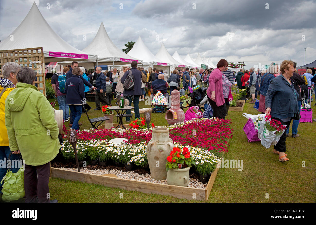 Il 1 giugno, 2019, Ingliston, Edimburgo, Scozia. Gardening Scotland 2019, Miglior Spettacolo Giardino, medaglia d'oro assegnato dalla Royal Caledonian Horticultural Society per la "Coffee Garden' progettato da Kirsty Wilson, erbaceo supervisore del Royal Botanic Garden Edinburgh con la sua sedia sospesa pezzo centrale. Folle accorse al giardino annuali mostrano su una piuttosto nuvoloso sabato a vedere le varie esposizioni, mostrano giardini e per l'acquisto di piante da diretti ai coltivatori di tutta la Scozia e il Regno Unito. Foto Stock