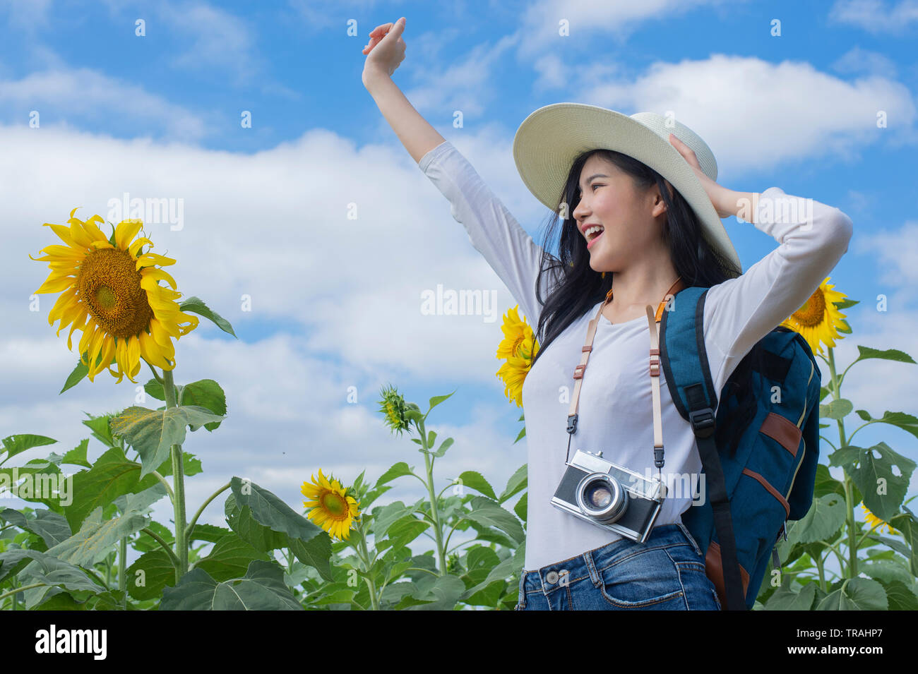 Asian giovane donna visita campo di girasole - Immagine Foto Stock