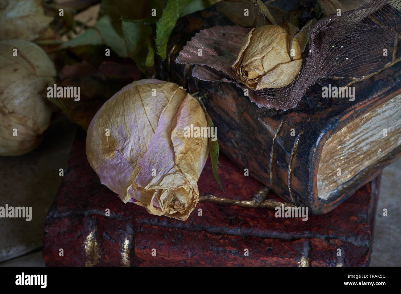 Close up macro di una rosa secca con corpetto boutonniere posa su libri Foto Stock