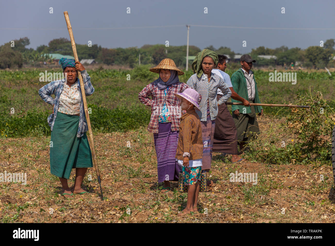 Gli agricoltori della Birmania Foto Stock