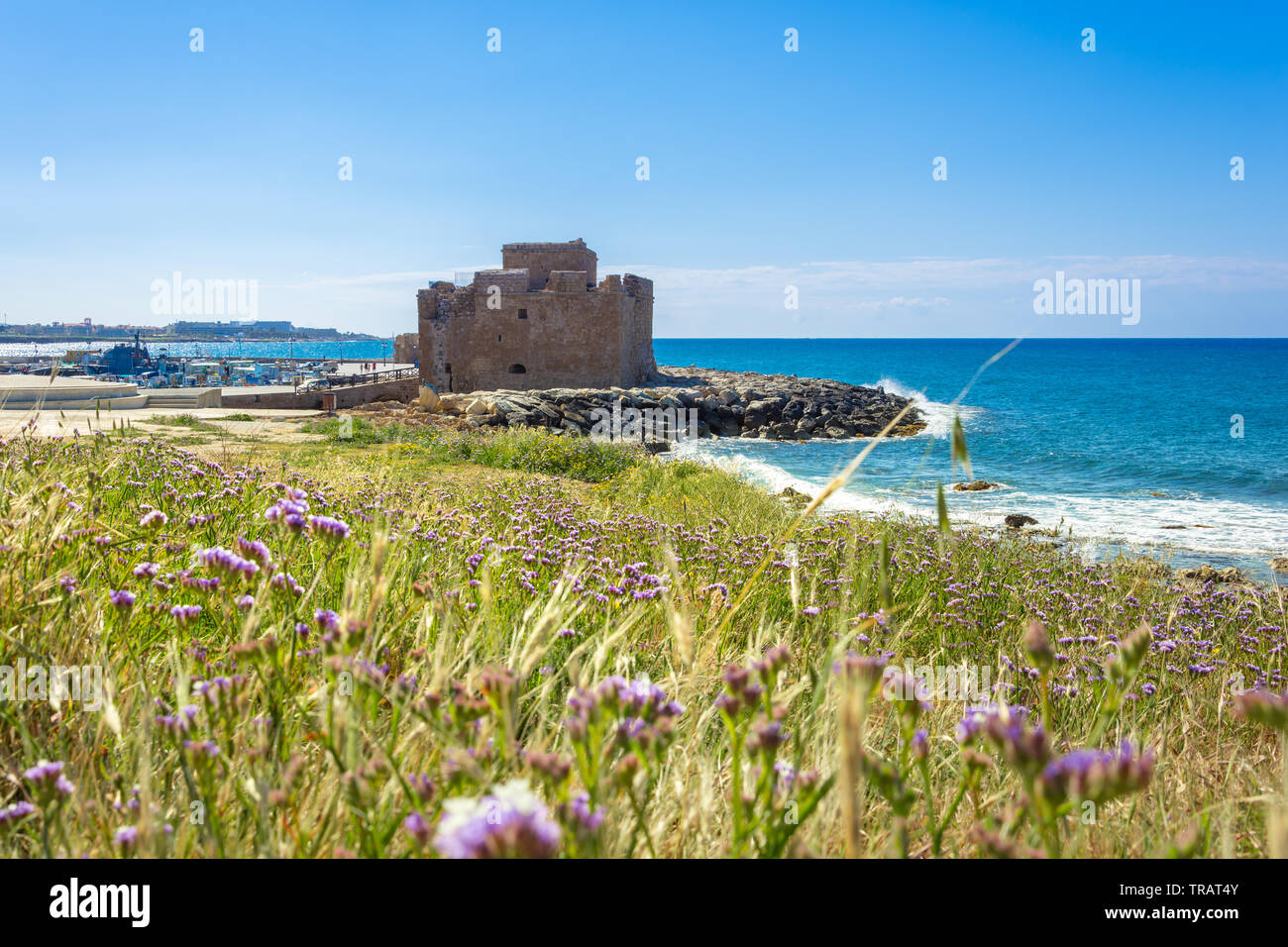 Il porto di Paphos con il castello, Cipro Foto Stock