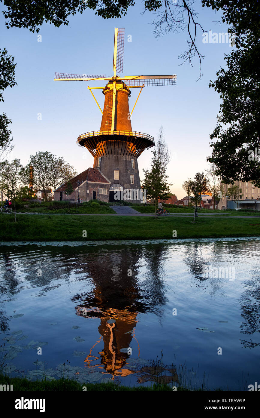 Il mulino a vento de Valk in Leiden incorniciata tra foglie di albero, Olanda Foto Stock