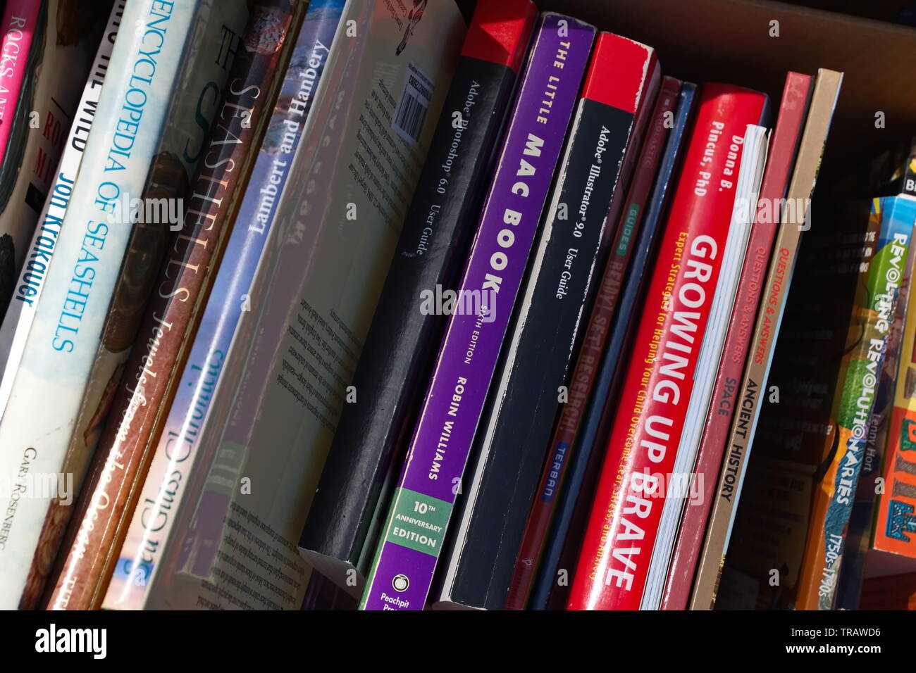 Middletown, Connecticut / STATI UNITI D'America - 18 Maggio 2019: caselle riempite con varie libri sullo schermo in un cortile di vendita Foto Stock