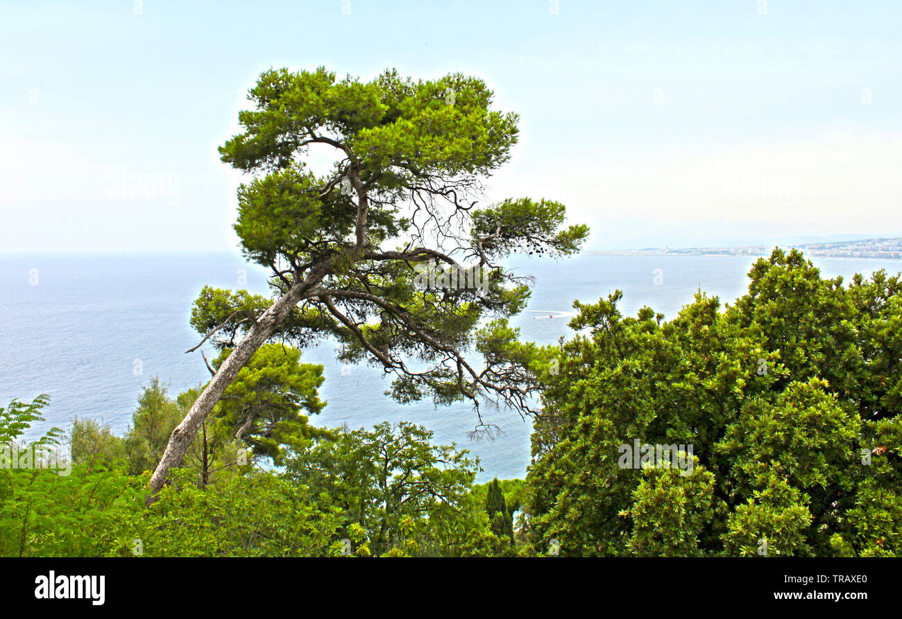 Il lato orientale della collina del Castello di Nizza con alberi, una grotta e vista sul mare. Foto Stock
