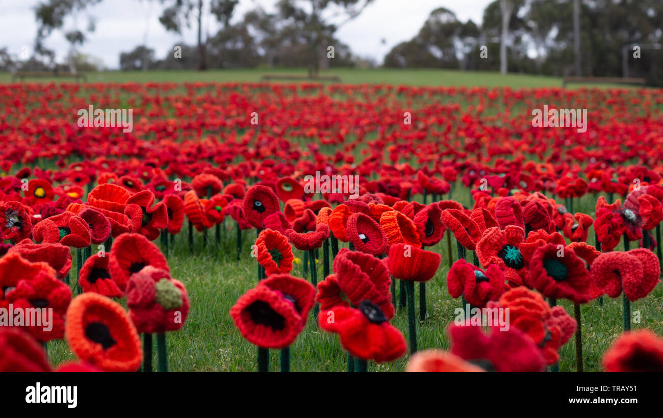 62.000 Papaveri - Australian War Memorial - Canberra - Australia Foto Stock