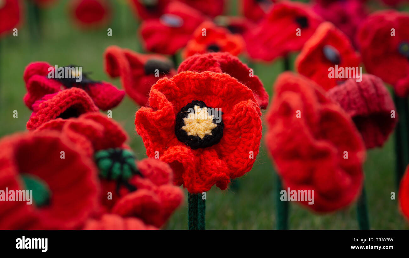 62.000 Papaveri - Australian War Memorial - Canberra - Australia Foto Stock