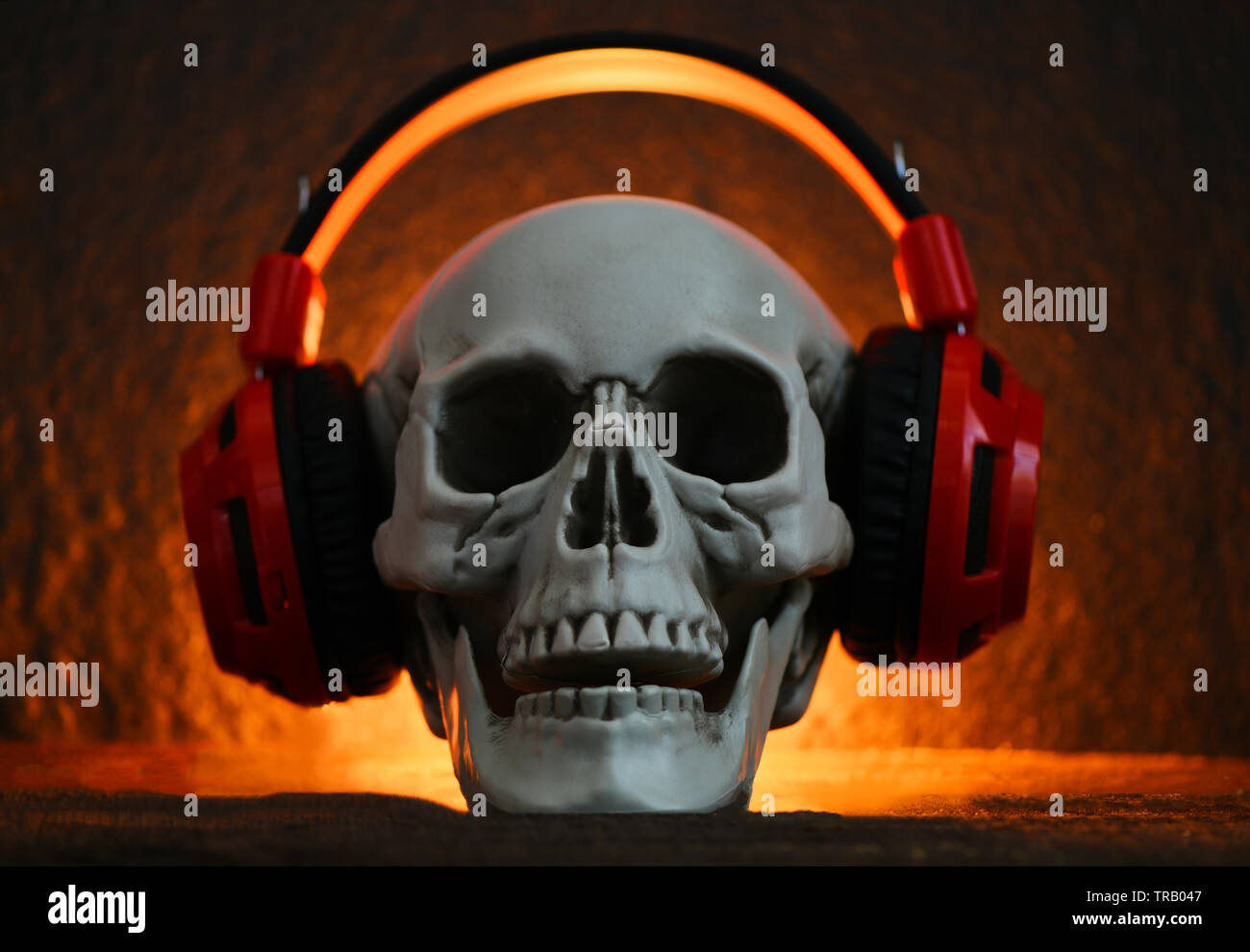 Cranio di musica con le cuffie / teschio umano ascoltando musica auricolare decorata a festa di Halloween e luce su sfondo scuro Foto Stock