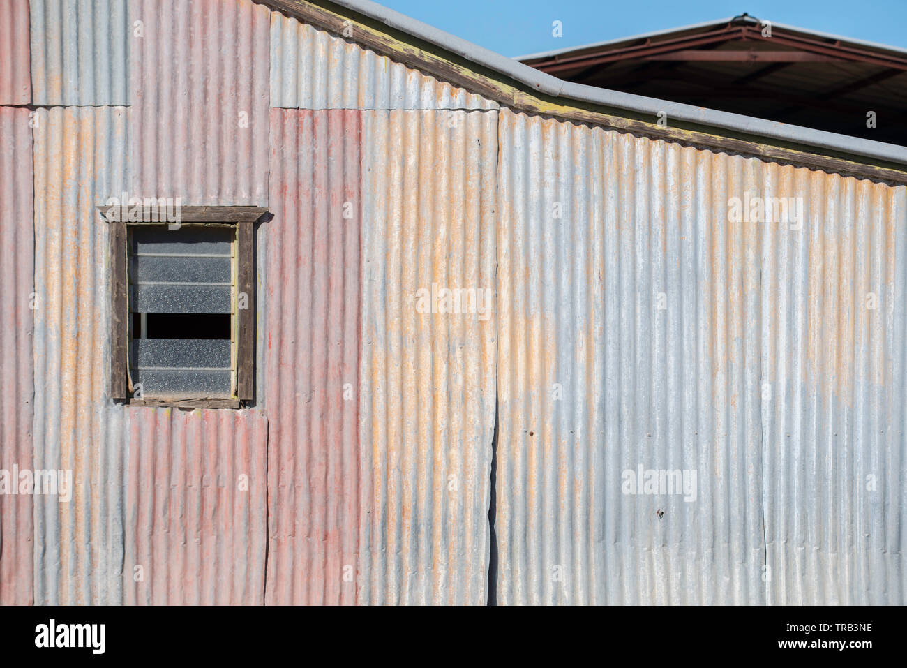 La vista laterale di un vecchio ferro zincato capannone o un fienile in una fattoria nel nord-ovest del Nuovo Galles del Sud, Australia, tra cui una piccola finestra lucernario Foto Stock