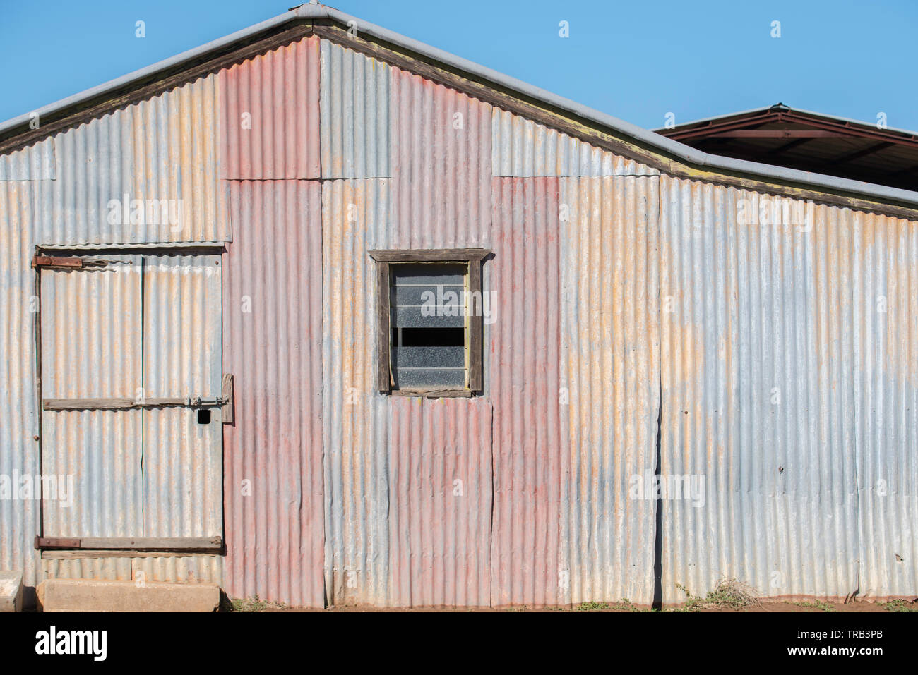 La vista laterale di un vecchio ferro zincato capannone o un fienile in una fattoria nel nord-ovest del Nuovo Galles del Sud, Australia, tra cui una piccola finestra lucernario Foto Stock