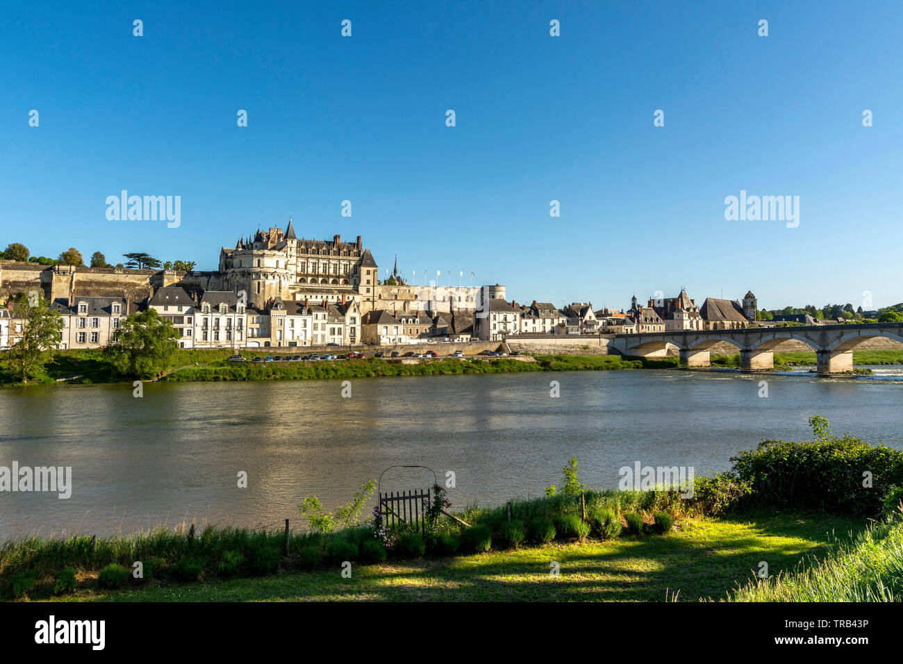 Amboise chateau sul fiume Loira, Valle della Loira, Indre-et-Loire Departement, Center-Val de la Loire, in Francia, in Europa Foto Stock