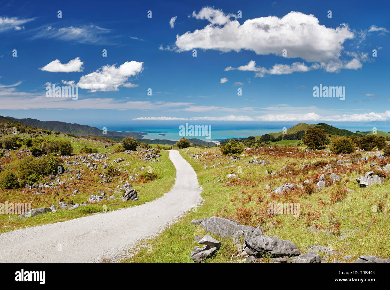Vista costiera, il Parco Nazionale Abel Tasman, Nuova Zelanda Foto Stock