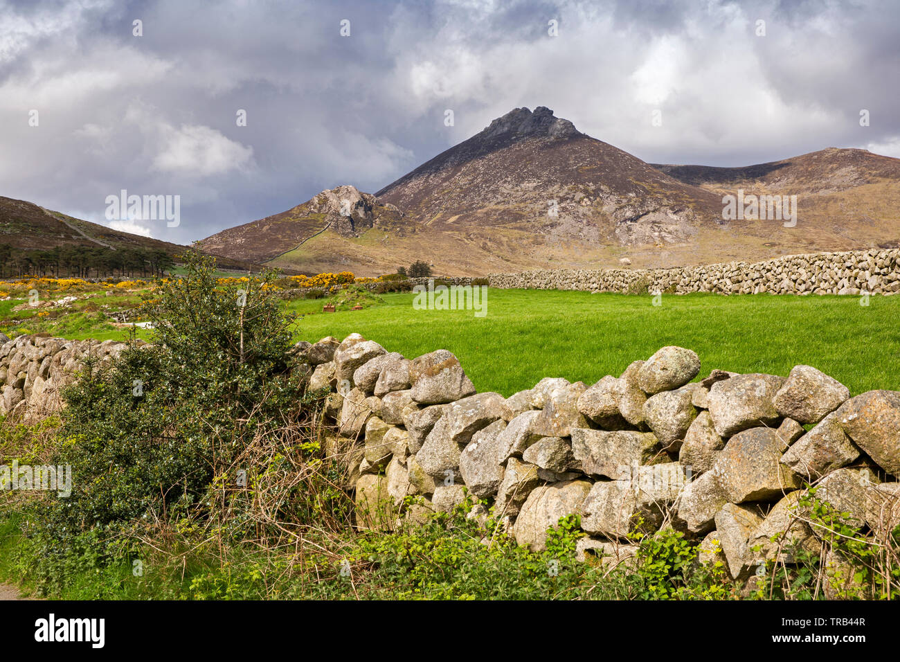 Irlanda del Nord, Co Down, Alta Mournes, secco muro di pietra rivestita lane e Slieve Binnian Foto Stock