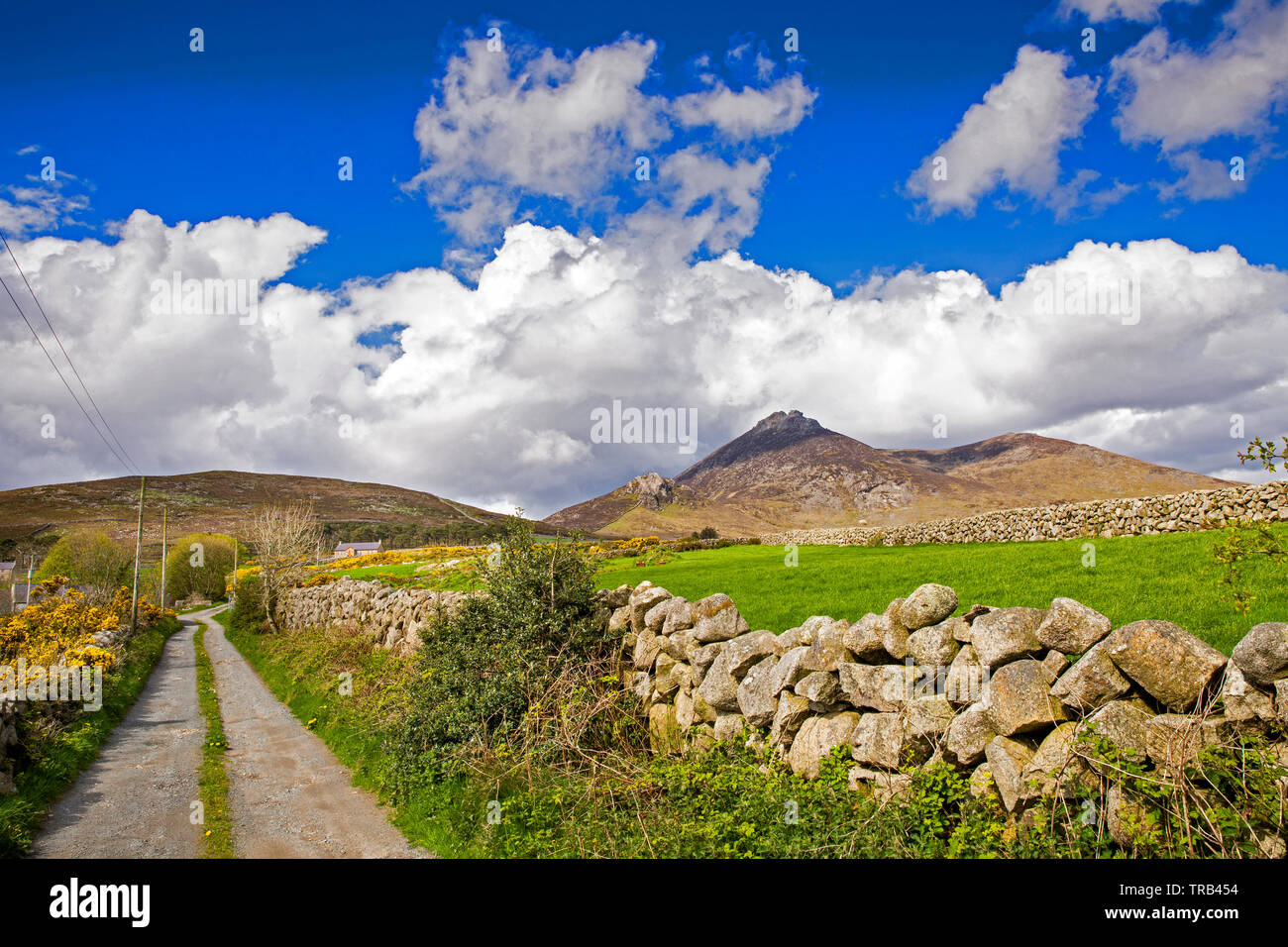 Irlanda del Nord, Co Down, Alta Mournes, secco muro di pietra rivestita lane e Slieve Binnian Foto Stock