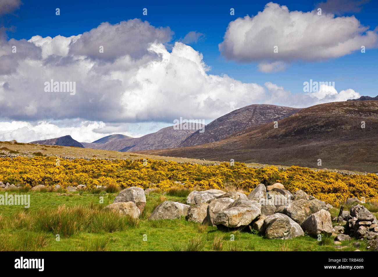 Irlanda del Nord, Co Down, Alta Mournes, paesaggio roccioso a giallo valle di acqua Foto Stock