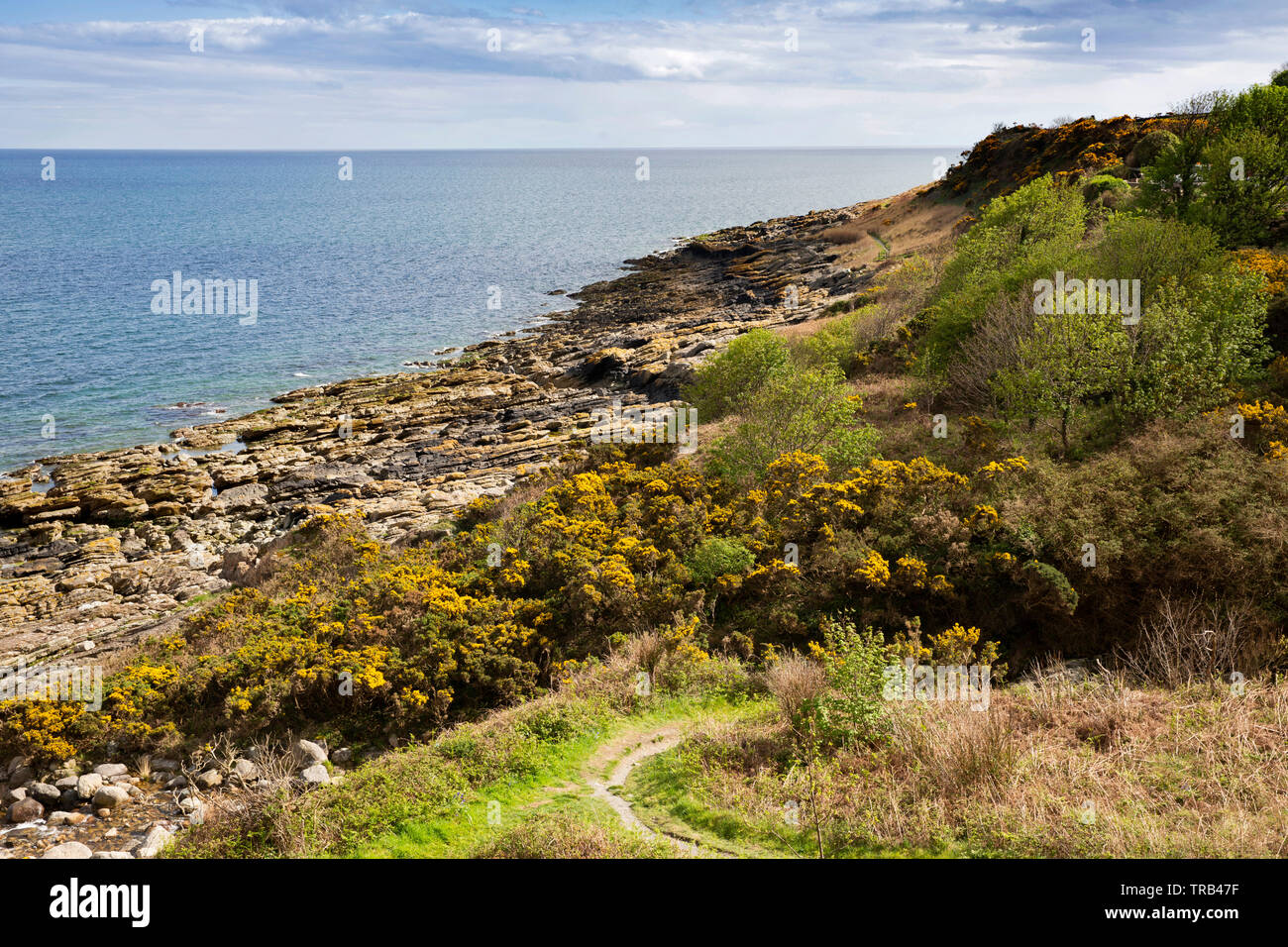 Irlanda del Nord, Co Down, Newcastle, Mourne Coast Path a Bloody Bridge Foto Stock