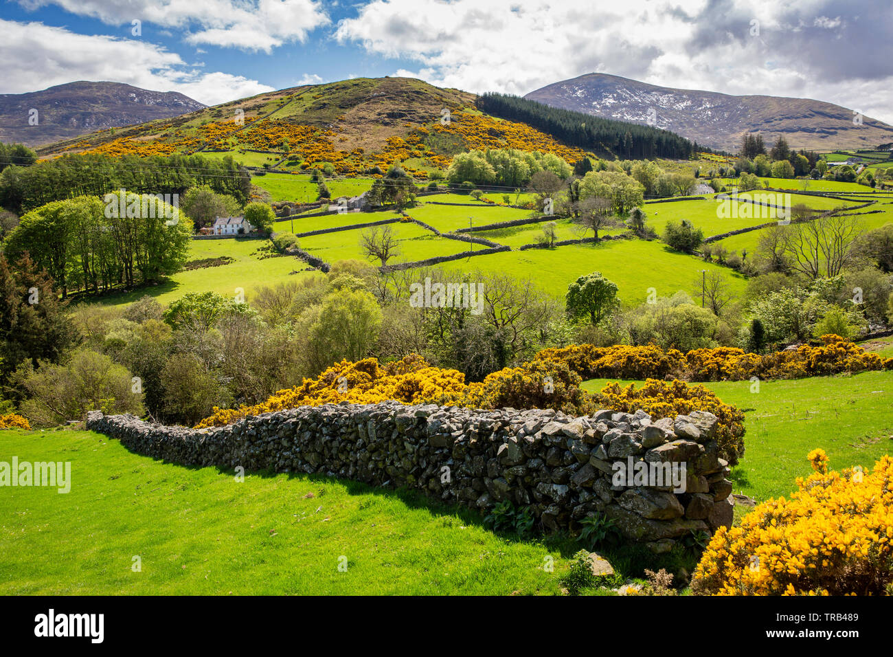 Irlanda del Nord, Co Down, Clanachullion Bridge, Shimna River Valley, locale tradizionale in pietra a secco parete realizzata con massi di granito Foto Stock